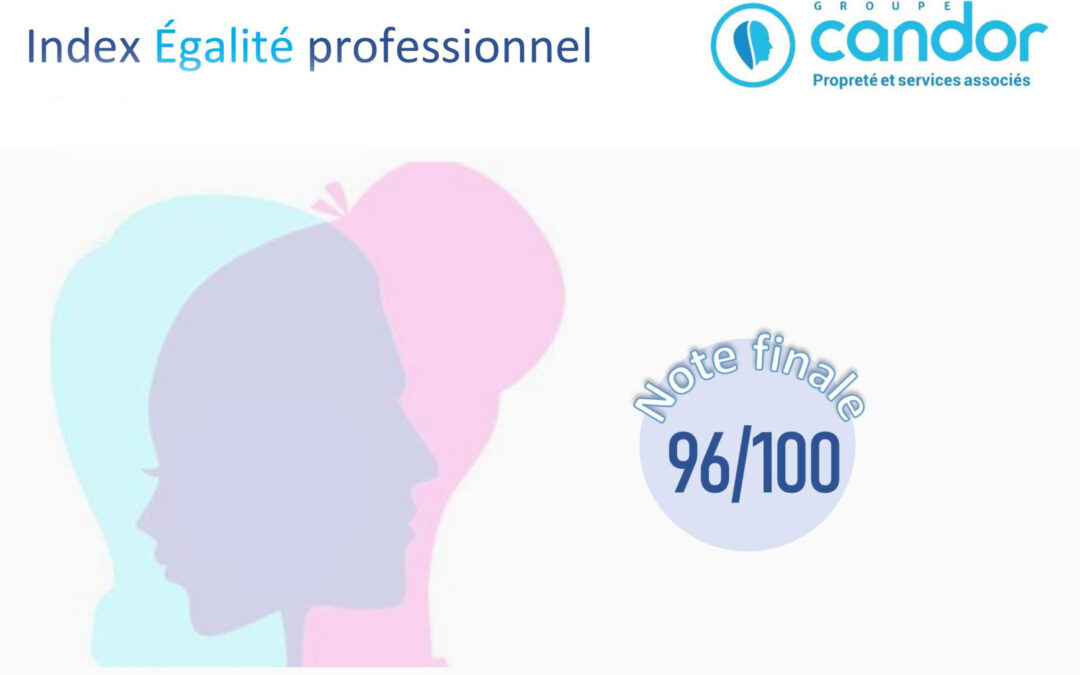 Index égalité professionnelle hommes – femmes – TERNETT & ERNETT (2020)