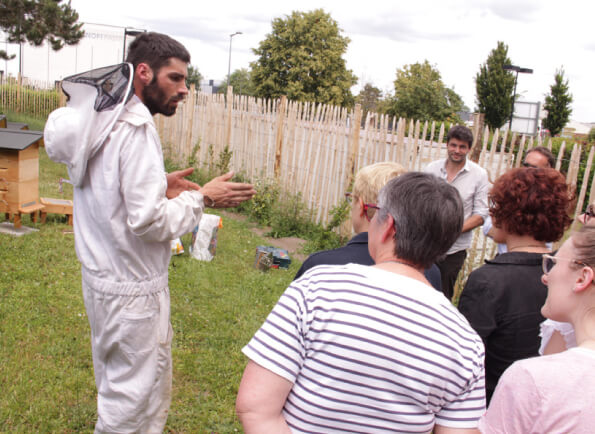 Formation-apiculture-CANDOR