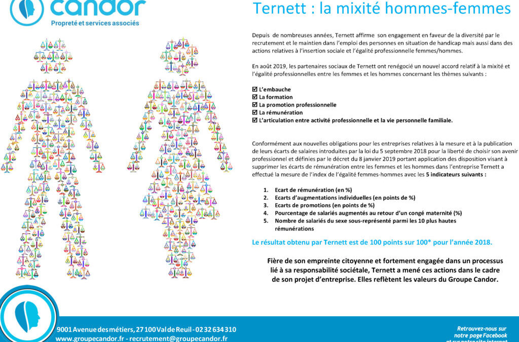 Index mixité et égalité professionnelles hommes/femmes Ternett