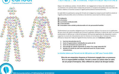 Index mixité et égalité professionnelles hommes/femmes Ternett